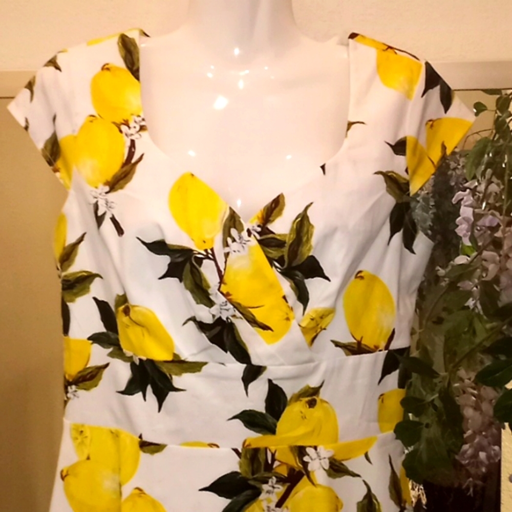 🍋 Bbonlinedress Lemons & Floral A line Printed Dress